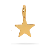 Star Charm