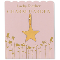 Star Charm