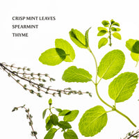 Frosted Mint Hand Sanitizer