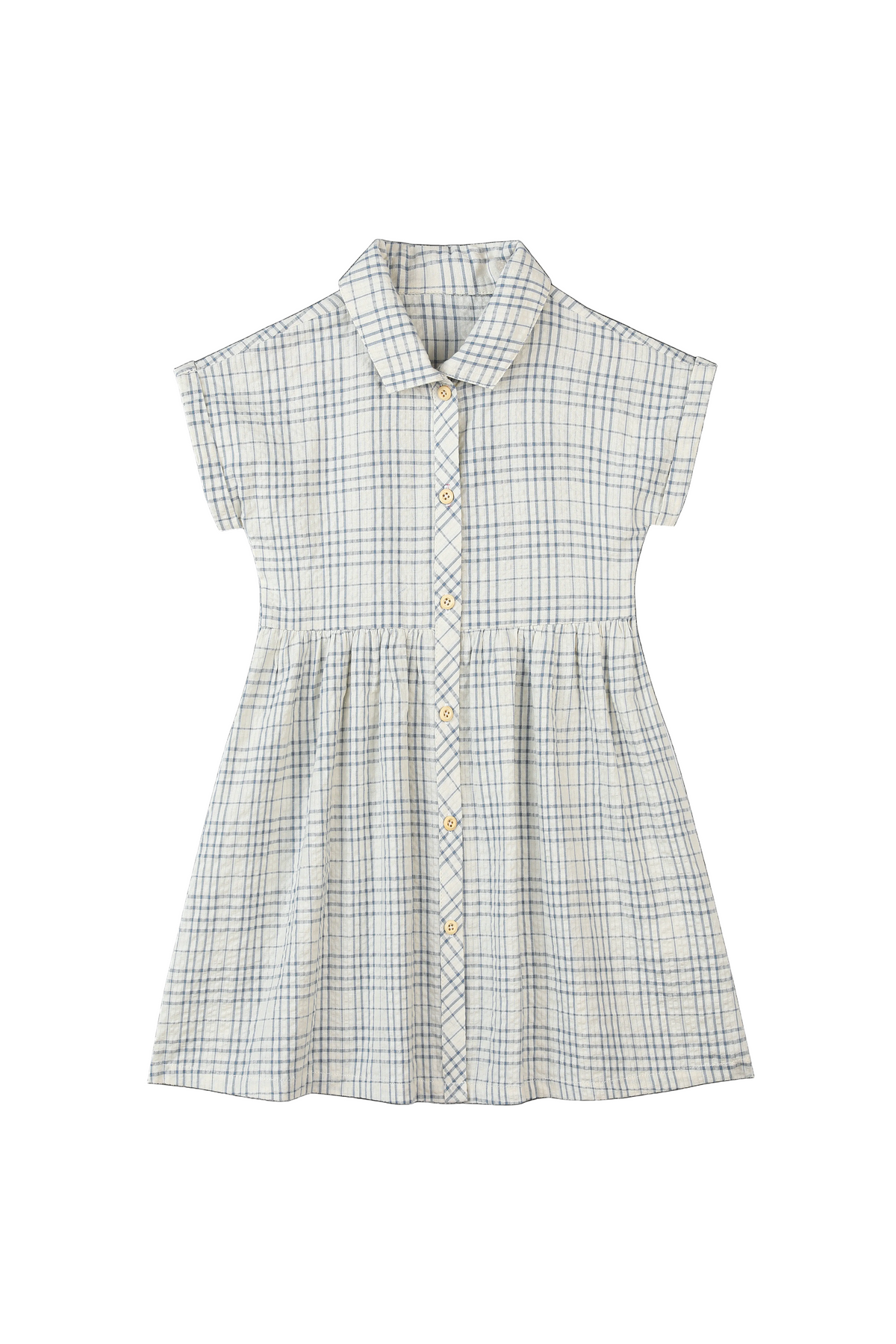 Blue Plaid Seersucker Dress