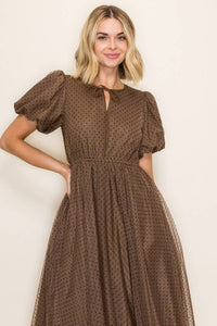 Brown Polka Dot Mesh Midi Dress