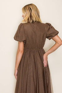 Brown Polka Dot Mesh Midi Dress