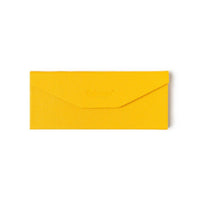 Foldable Eyewear Case