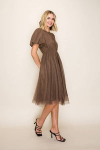 Brown Polka Dot Mesh Midi Dress