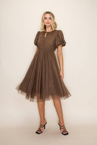 Brown Polka Dot Mesh Midi Dress