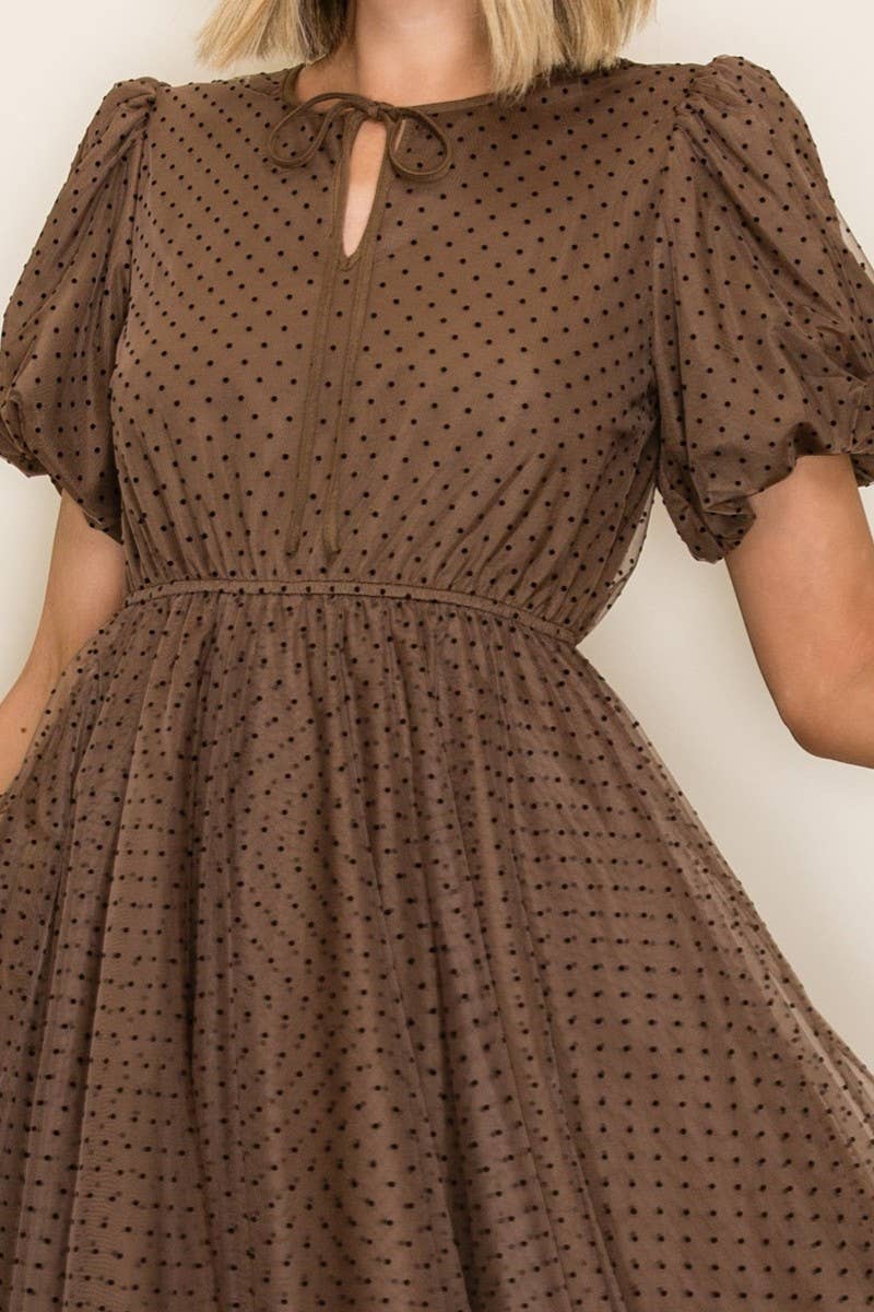 Brown Polka Dot Mesh Midi Dress