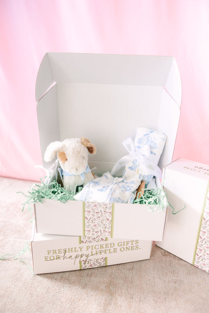 Puppy Love Blue Edition Box