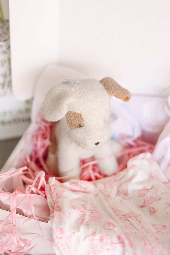 Puppy Love Pink Edition Box