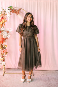 Brown Polka Dot Mesh Midi Dress
