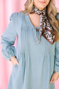 Washed Denim Pintuck Dress