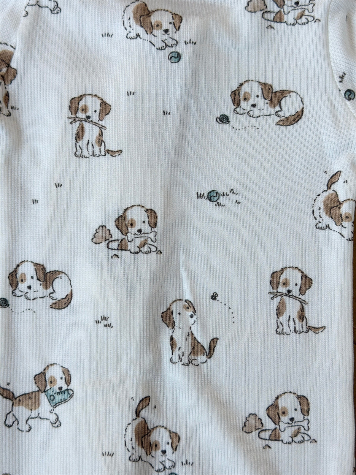 Blue Explorer Puppy Pjs