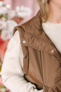 Chocolate Puffer Vest