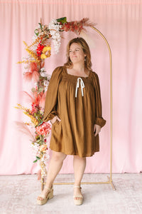 Brown Balloon Sleeve Mini Dress