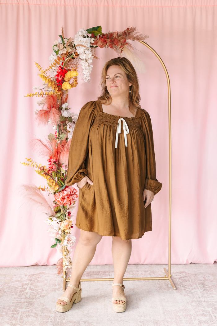 Brown Balloon Sleeve Mini Dress
