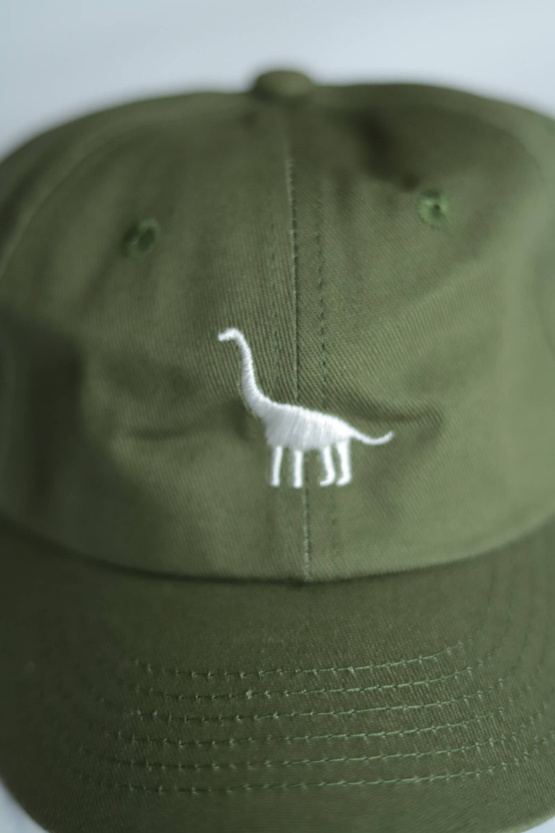 Embroidered Dinosaur Ball Cap