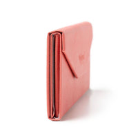 Foldable Eyewear Case
