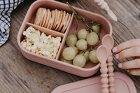 Rosewood Silicone Bento Box